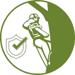 Qualified Arborists