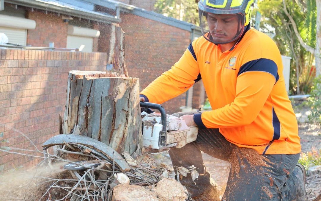Stump Removal