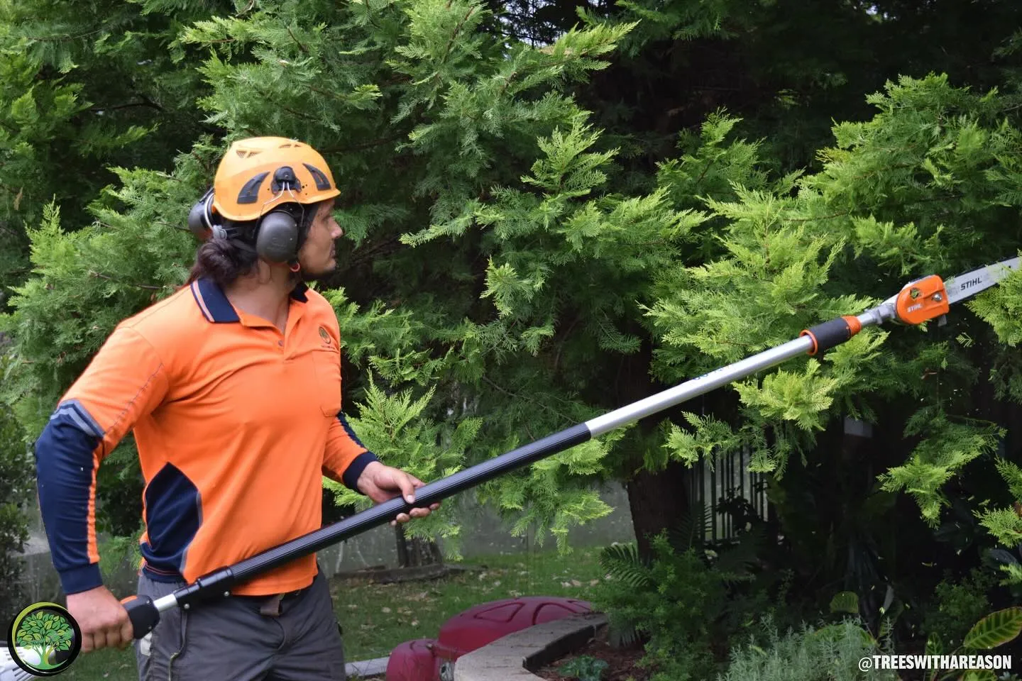 Tree pruning in Sydney