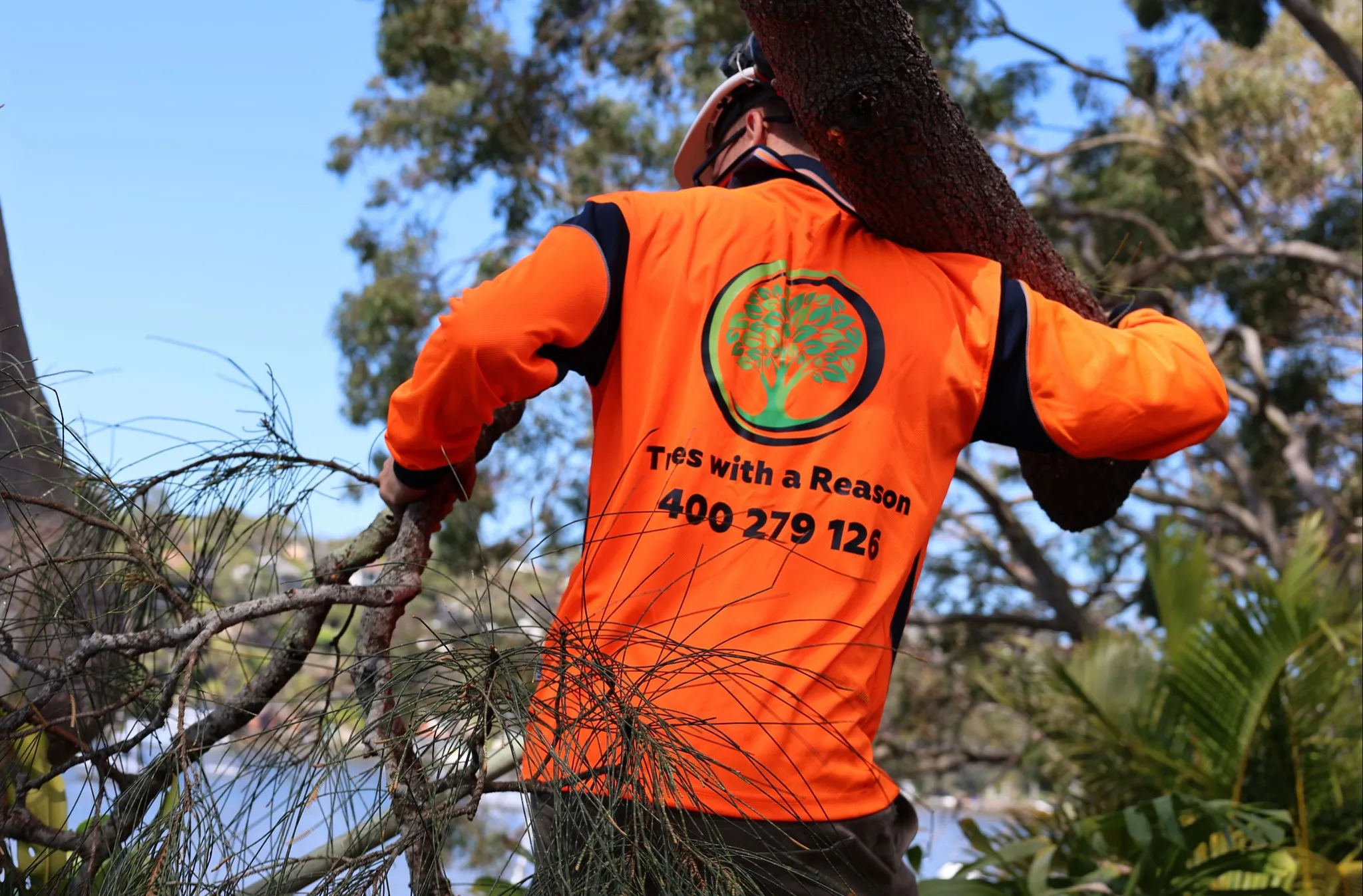 Emergency arborist service