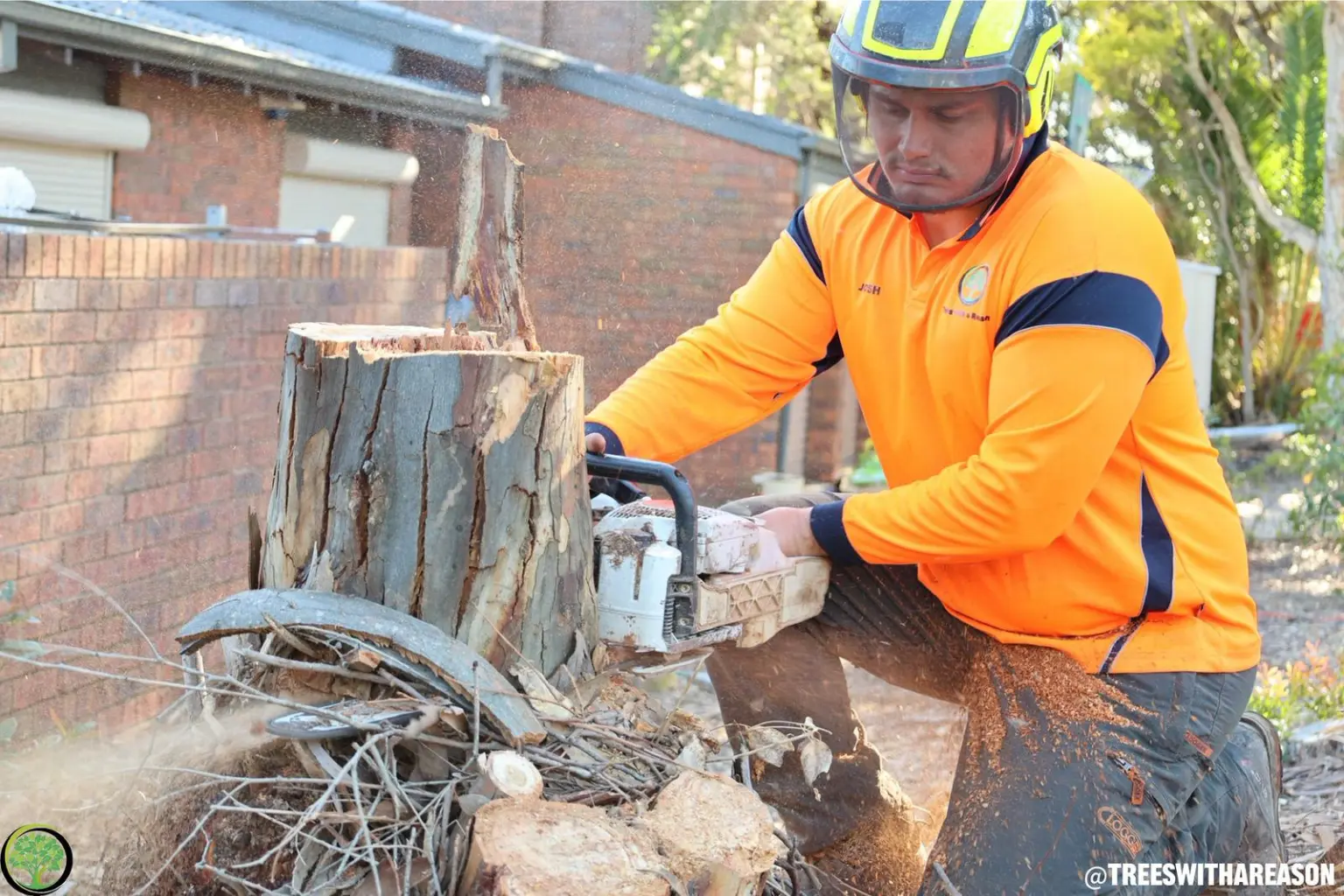 Stump grinder in action
